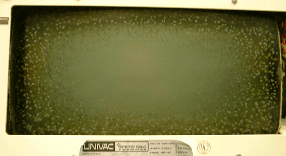 crt fungus